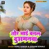 About Tor Bhai Banal Dusamanava Song