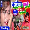 About Dosra Ke Choli Kin Ke De Tani Raja Ji Song