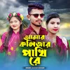 About Amar Kolijar Pakhire Song