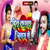 About Dil Lagal Chirag Se (Bhojpuri) Song