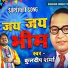 About Jay Jay Bhim Song