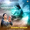 About Mohna Mai Nachu Tere Vrindavan Mein Song