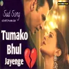 About Tumko Bhul Jayenge Song