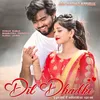 About Dil Dhadke Song