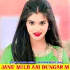 About Janu Milb Aai Dungar M Song