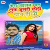 About Tora Jaisan Maal Leke Ghumhi Chaudhi Dhokdi Me Song