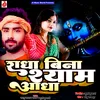 About Radha Bina Shyam Aadha Song