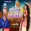 About Kahe Jat Baru Chhor Ke (Bhojpuri Song) Song