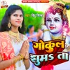 About Gokul Jhumata Song