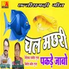 About Chal Machari Pakde Jabo (Chhattisgarhi) Song