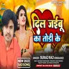 About Dil Jaibu Ka Todi Ke (Bhojpuri) Song