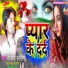 About Peyar Ke Dard (bhojpuri song) Song