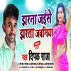 About Jharna Jaise Jharata Jawaniya 2 Song