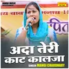 About Ada Teri Kat Kalja (Hindi) Song