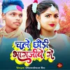 About Chale Chhodi Bhagjibe Ge Song