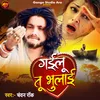 About Gailu Tu Bhulai Song