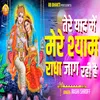 Tere Yaad Me Radha Jaag Rahi Hai (Hindi)