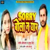 About Sorry Bola Na Yaar Song