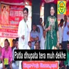 About Patla Dhupata Tera Muh Dhike Song