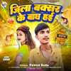 About Jila Buxar Ke Bagh Hai Song