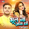 About Bhul Na Jana Hame (Hindi) Song