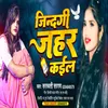 About Jindagi Jahar Kaila Sarswati Sargam (Bhojpuri Song) Song