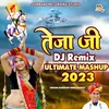 Teja Ji Ultimate Mashup 2023 (Remix)