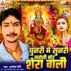 About Chunari Me Sunari Lageli Mor Shera Wali (Bhojpuri) Song