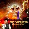 About Hey Gannayak (Gajanan Avtaar) Song
