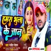 About Hamra Bhula Ke Jaan Song
