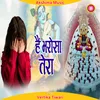 About Hai Bharosa Tera (Hindi) Song
