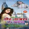 About Tor Gajra Tor Bindiya Song