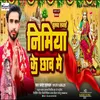 About Jhulava Lagai Nimiya Ke Chhav Mein Song