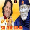About Hum Bhi Hai Sai Tere Gulam (Hindi) Song