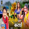 About Gehu Ke Katai (Bhojpuri) Song