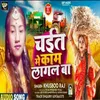 About Chait Me Kam Lagal Ba (Bhojpuri) Song