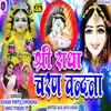 About Shree Radha Charan Vandna (Bhakti song) Song