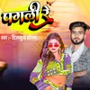 About Pagali Re (Maithili) Song