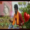Bhula Gai Pyar Mera Tu (Hindi)