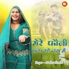 About Mere Fauji Fas Rahe Jang Mein (Hindi) Song