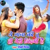 About Ye Mana Ki Tu He Meri Jindagi Hai (Hindi) Song