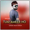 About Tum Amir Ho (HINDI LOVE SONG) Song