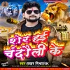 About Sher Hai Chandauli Ke Song