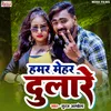 About Humar Mehar Dulare (Bhojpuri) Song