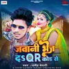 About Javani Bhej Da Qr Code Se Song