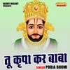 About Tu Krpa Kar Baba (Hindi) Song