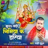 About Jhula Tadi Nimiya Ke Dariya (Devi Geet) Song