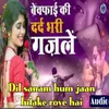 About Dil Sanam Hum Jaan Lutake Roye Hai Song