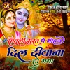 About Sawali Surat Pe Mohan Dil Diwana Ho Gaya (Hindi) Song