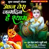 About Aaj Tera Janmdin Hai Shyam (Hindi) Song
